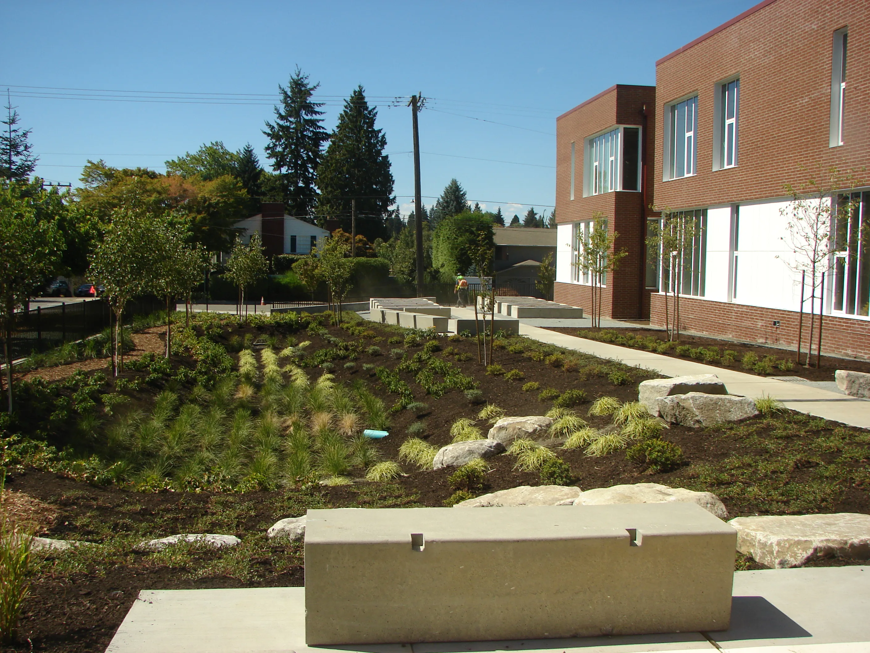 Photo taken from outside the Library, looking West over the 'rain-garden' area.